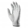 Ping Tour - Golf Glove