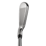 Cobra DS-Adapt - 6 clubs - Steel (custom)