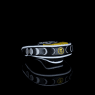 LAB HC Lunar eclipse side limited