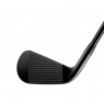 Titleist T350 2025 Black Vapor - 6 irons (custom)