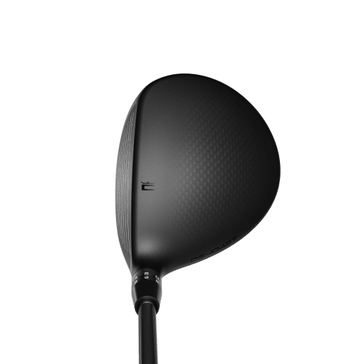 Cobra DS-Adapt LS Titanium - Fairwaywood (custom)