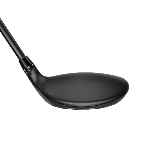 Cobra DS-Adapt LS Titanium - Fairwaywood (custom)