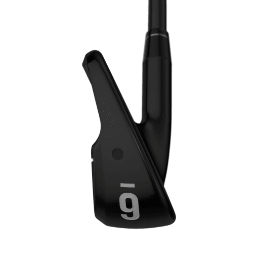 Callaway Apex Ti Fusion 24 - 6 irons (custom)