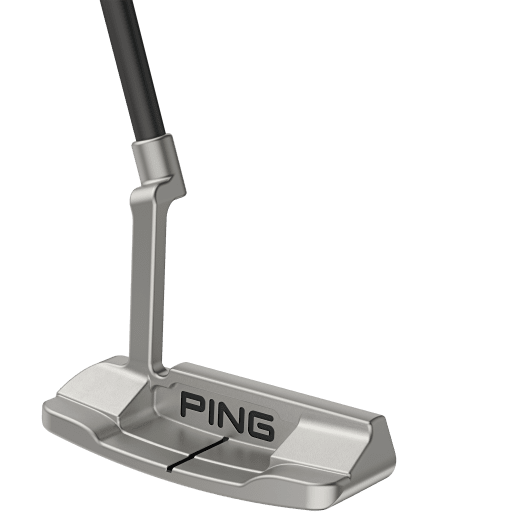 Ping Anser D 2024