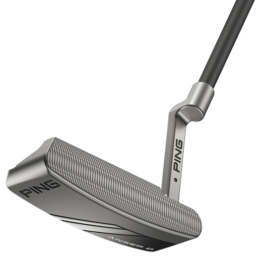 Ping Anser D 2024