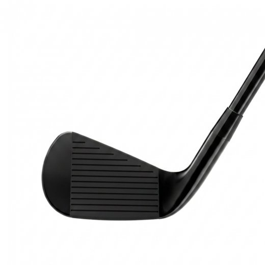 Titleist T150 2025 Black Vapor - 6 irons (custom)